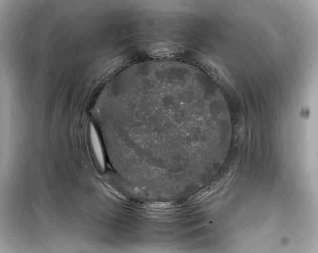 X0000099410081200805161032