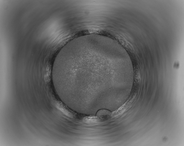 X0000099410082200805161032