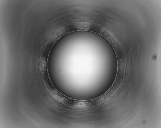 X0000099410083200805161032