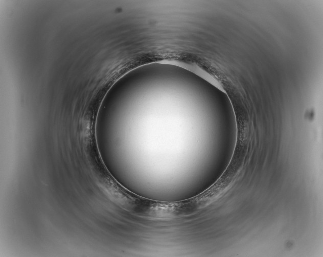 X0000099410084200805161032