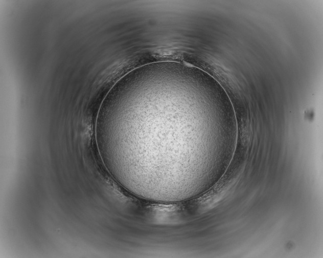 X0000099410085200805161032