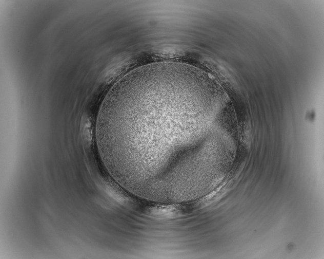 X0000099410086200805161032