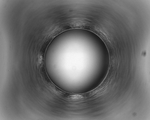 X0000099410087200805161032