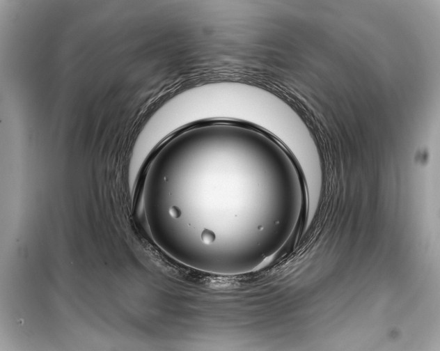 X0000099410088200805161032