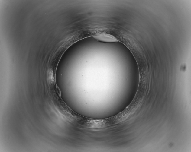 X0000099410089200805161032