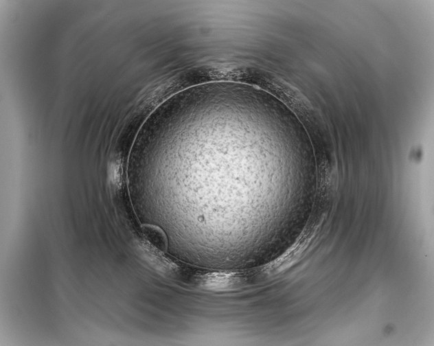 X0000099410090200805161032