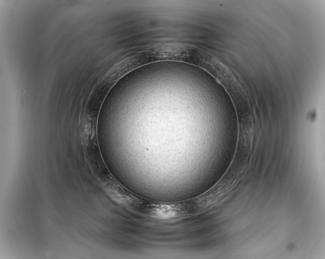 X0000099410091200805161032