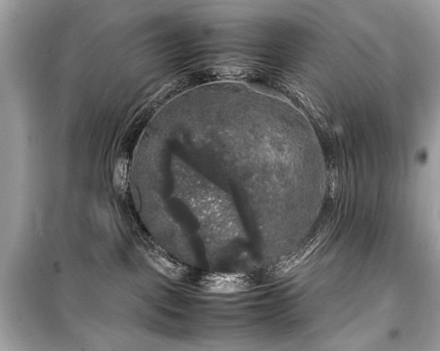 X0000099410093200805161032