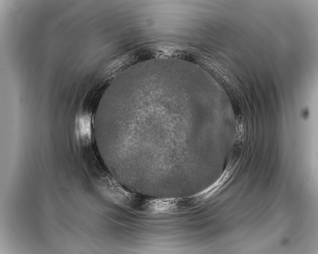 X0000099410094200805161032