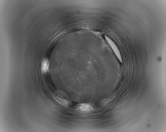 X0000099410095200805161032