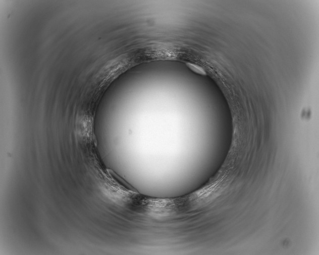 X0000099410096200805161032