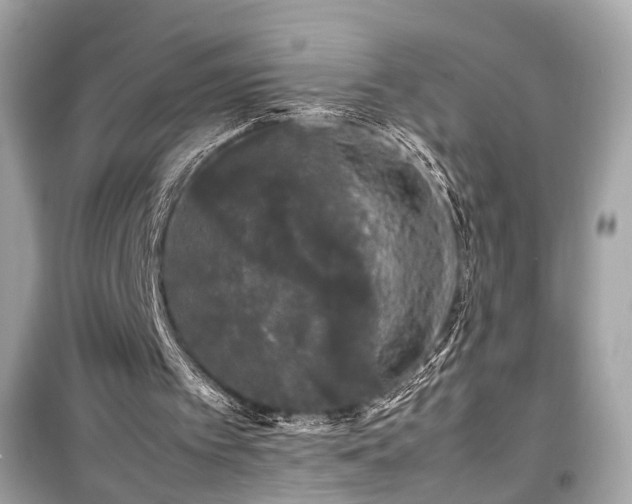 X0000099410097200805161031