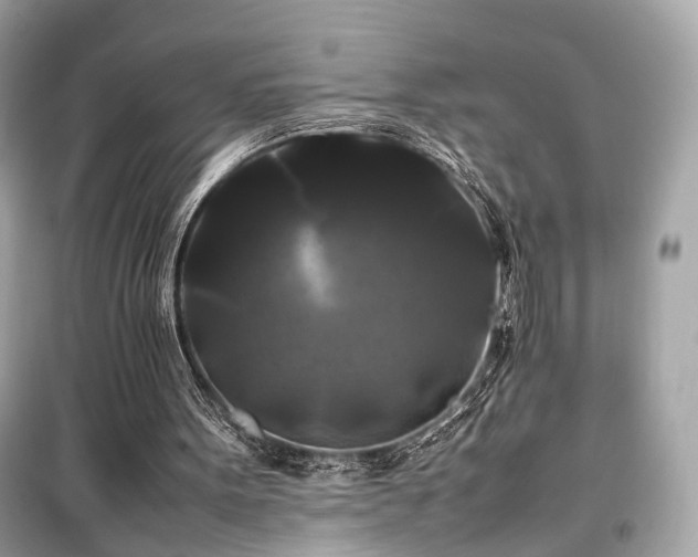 X0000099410099200805161031