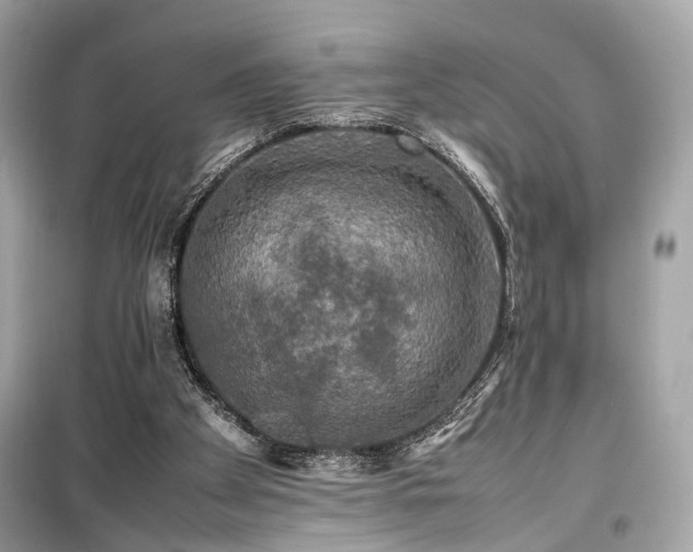 X0000099410105200805161031