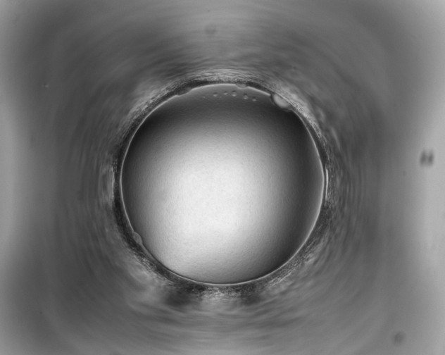 X0000099410109200805161031