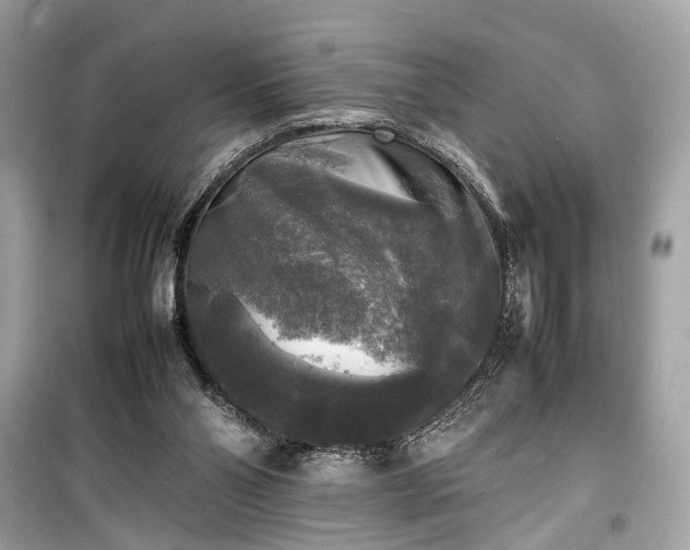 X0000099410110200805161031