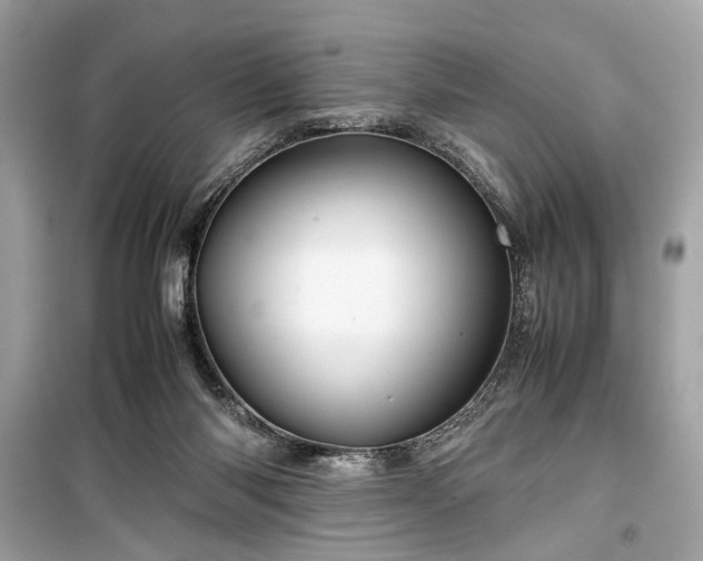 X0000099410118200805161031