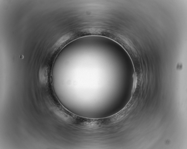 X0000099410120200805161031