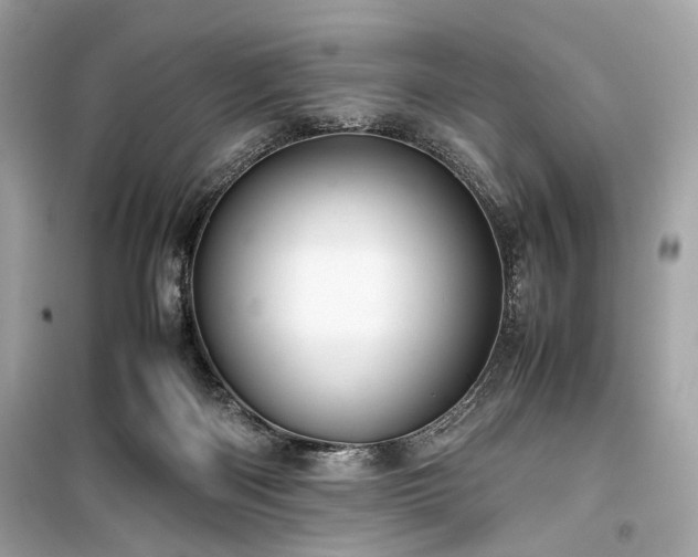 X0000099410122200805161031