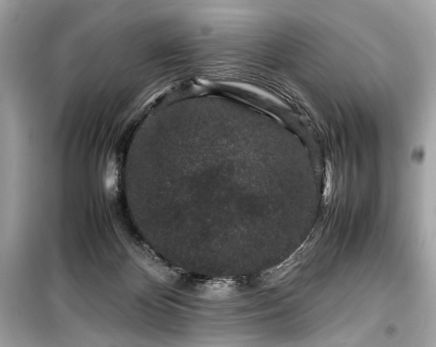 X0000099410124200805161031