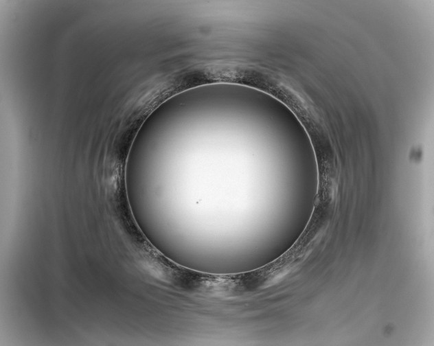 X0000099410125200805161031