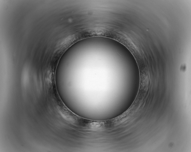 X0000099410126200805161031
