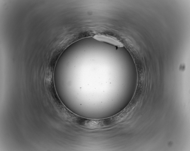 X0000099410129200805161031