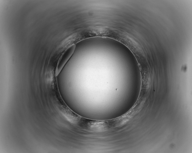 X0000099410132200805161031