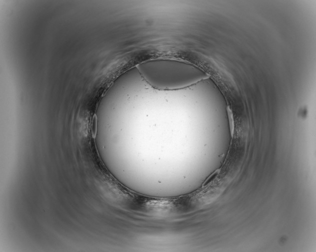X0000099410133200805161031