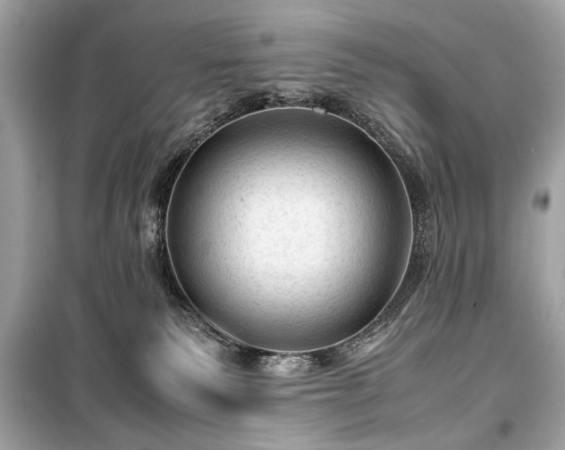 X0000099410135200805161031