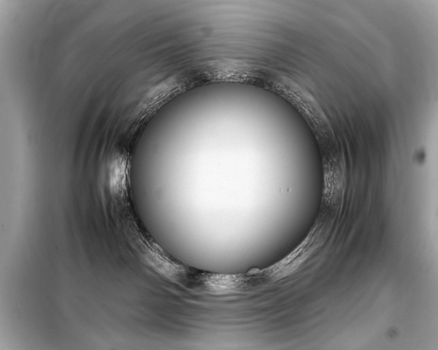 X0000099410142200805161031