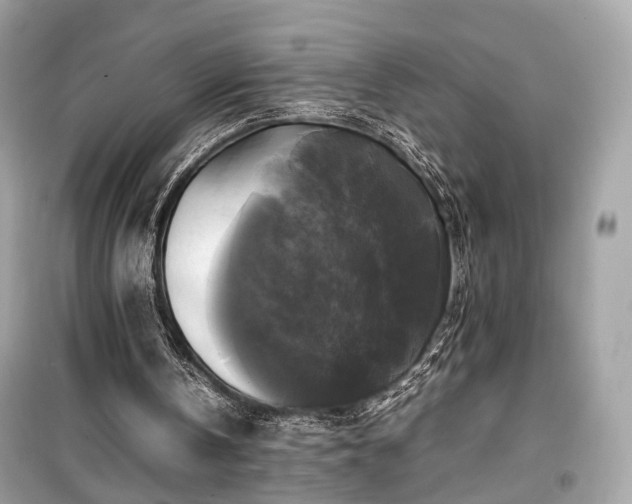 X0000099410146200805161030