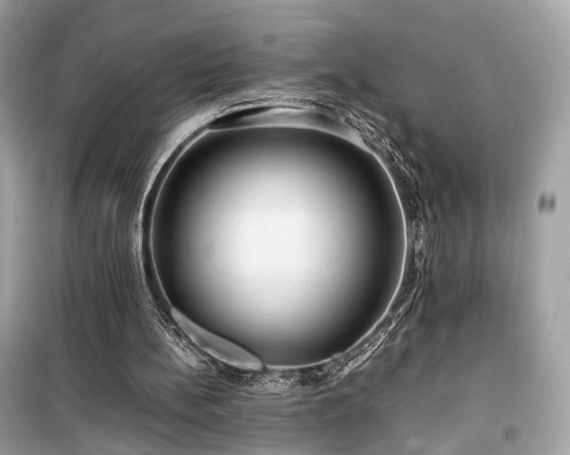 X0000099410148200805161030
