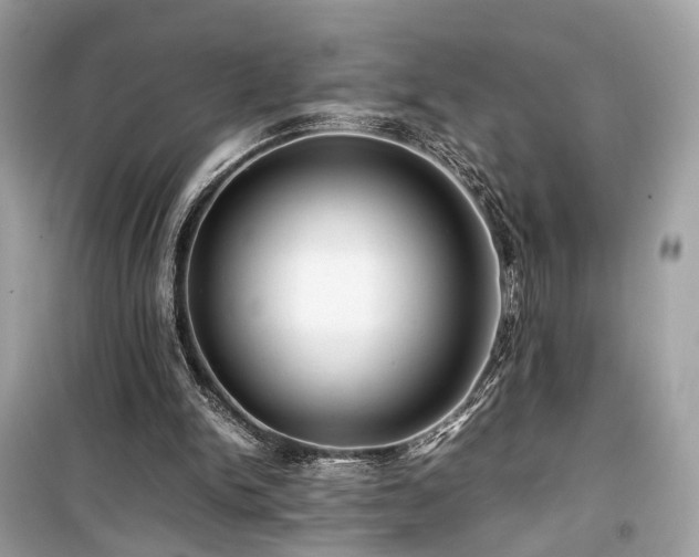 X0000099410150200805161030