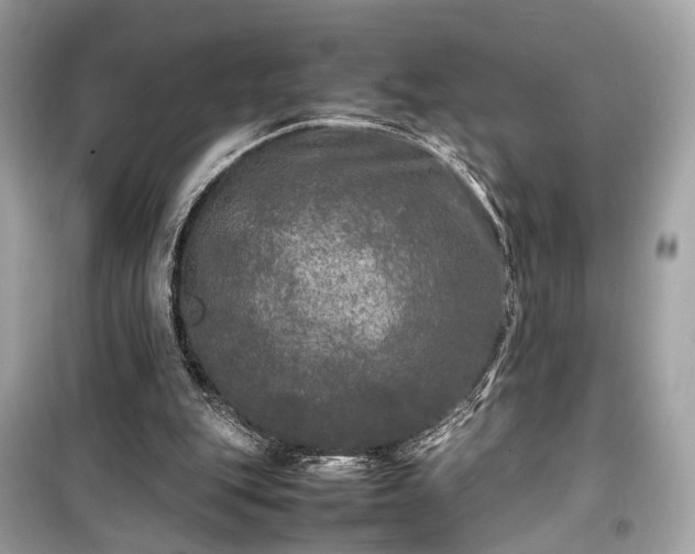 X0000099410151200805161030