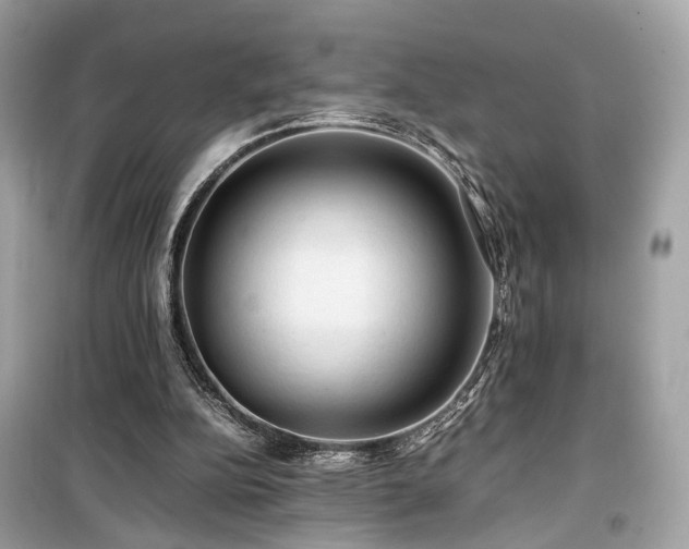 X0000099410152200805161030