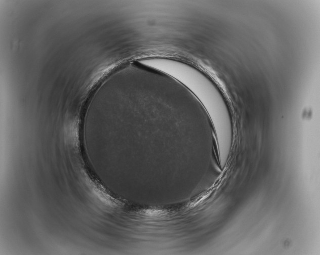 X0000099410154200805161030