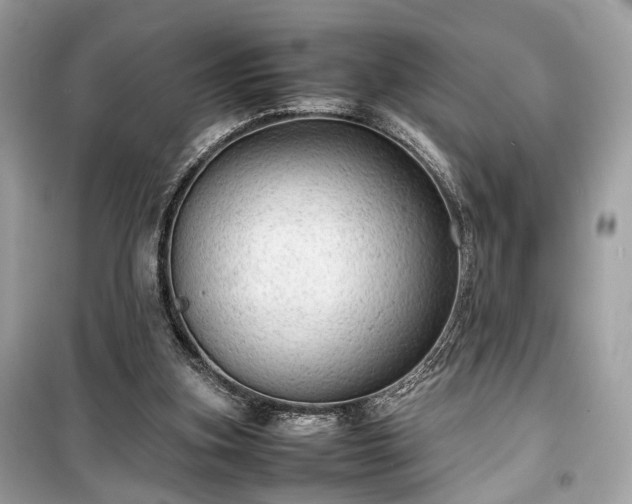 X0000099410155200805161030