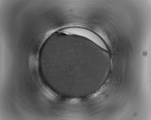 X0000099410156200805161030