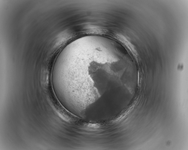 X0000099410157200805161030