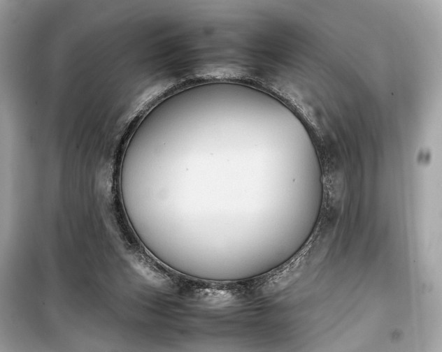 X0000099410159200805161030