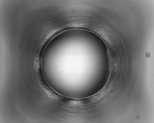 X0000099410160200805161030