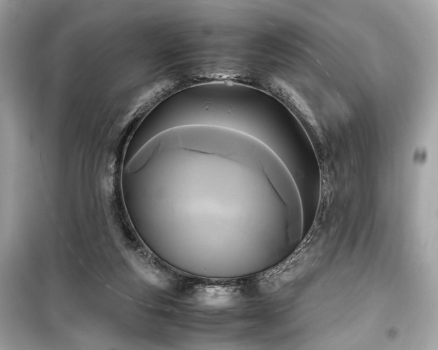 X0000099410163200805161030