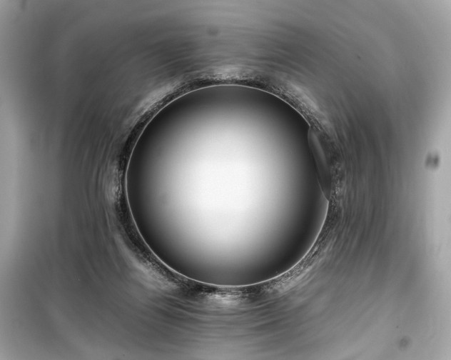 X0000099410164200805161030