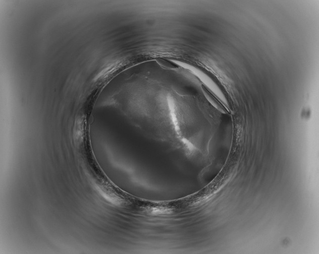 X0000099410165200805161030