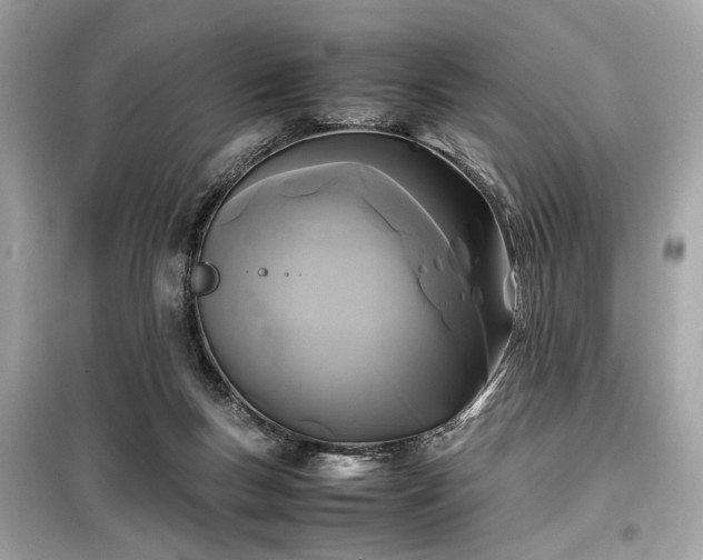 X0000099410167200805161030