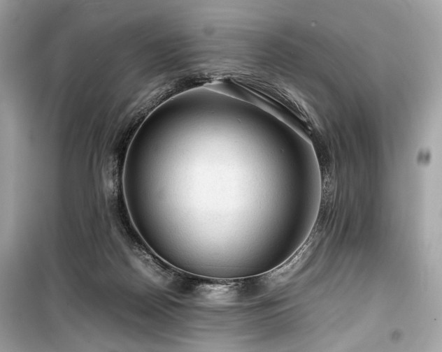 X0000099410170200805161030