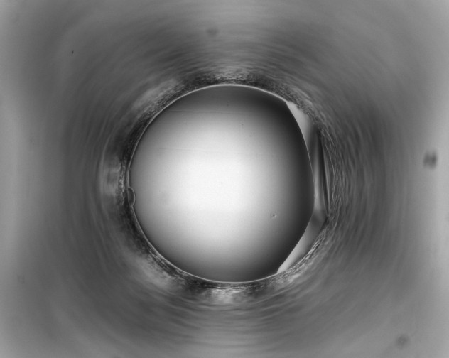 X0000099410172200805161030