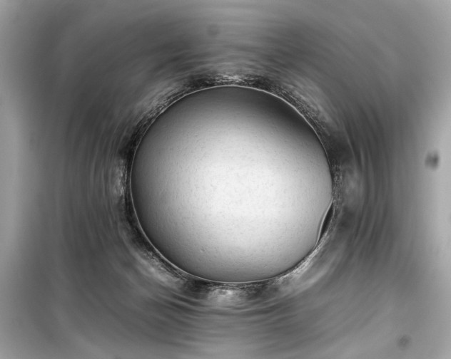 X0000099410174200805161031