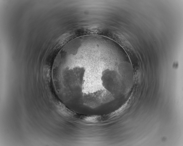 X0000099410178200805161031